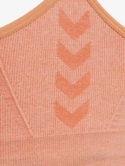 Hummel Brassières Bustier Soutien-gorge De Sport Femme Homard 14 Hummel Brassières Bustier Soutien-gorge De Sport Femme Homard -ADIDAS PERFORMANCE Soldes 296edac18258b54bef28cdcf64771a5f