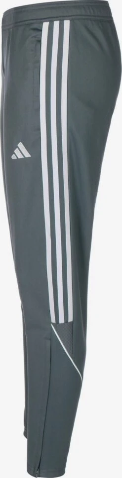 ADIDAS PERFORMANCE Pantalons De Sport Regular Pantalon De Sport Tiro 23 Femme Gris Basalte -ADIDAS PERFORMANCE Soldes 32e63a3f745eccf19fe286529143b4f7
