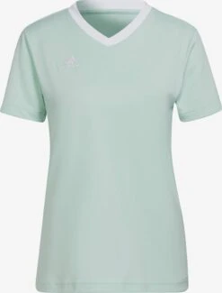 Adidas Sportswear Hauts Pratiques Fonctionnels Maillot Entrada 22 Femme Menthe