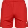 Puma Shorts Regular Pantalon De Sport Team Goal 23 Femme Rouge