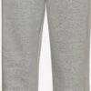 Jordan Pantalons Dentraînement Regular Pantalon De Sport Jumpan Femme Gris