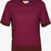 Icebreaker T-Shirts T-shirt Fonctionnel ZoneKnit Femme Rose Foncé