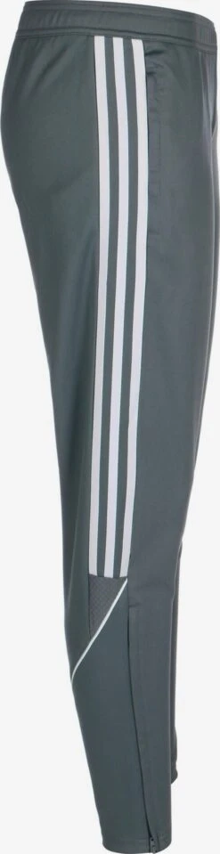 ADIDAS PERFORMANCE Pantalons De Sport Regular Pantalon De Sport Tiro 23 Femme Gris Basalte -ADIDAS PERFORMANCE Soldes 4dfa088a0d734f6373b5e33b077547ad