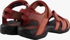 Teva Chaussures De Plein Air Sandales De Randonnée Tirra Femme Melon -ADIDAS PERFORMANCE Soldes 56f99904265b8e3f0d19a5ac98e82f39