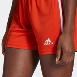 Adidas Sportswear Shorts Regular Pantalon De Sport Squadra 21 Femme Orange -ADIDAS PERFORMANCE Soldes 613c654341a00df710661584f2077035