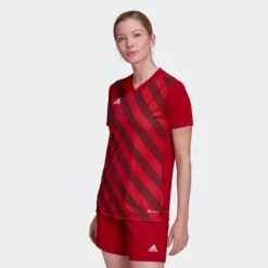 Adidas Sportswear Hauts Pratiques Fonctionnels Maillot Entrada 22 Femme Rouge / Bordeaux -ADIDAS PERFORMANCE Soldes 6501c13b6eb24f789668f1e751b3f167
