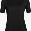 Icebreaker T-Shirts T-shirt Fonctionnel W Granary SS Femme Noir
