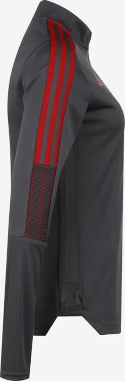 Adidas Sportswear Pulls De Sport Sweat De Sport FC Bayern München Femme Anthracite -ADIDAS PERFORMANCE Soldes 6e9ffc924327bc573e9639fe87a1262d