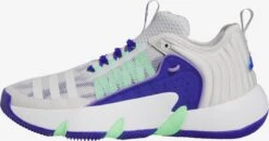 Adidas Sportswear Chaussures Dentraînement Chaussure De Sport Trae Unlimited Femme Gris