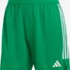 ADIDAS PERFORMANCE Shorts Regular Pantalon De Sport Femme Vert Gazon