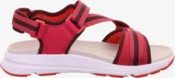 Legero Chaussures De Plein Air Sandales De Randonnée Femme Rouge / Rouge Sang -ADIDAS PERFORMANCE Soldes 76980a61193ed2945ae159c5eddea57a