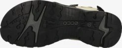 ECCO Chaussures De Plein Air Sandales De Randonnée Offroad Femme Crème -ADIDAS PERFORMANCE Soldes 7fa1b0d07b8cc2f6e2abf7eb4d14f34f