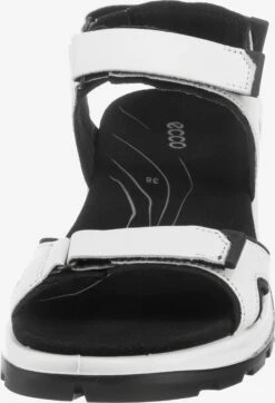 ECCO Chaussures De Plein Air Sandales De Randonnée Offroad Femme Blanc -ADIDAS PERFORMANCE Soldes 827b4bce2ddd508afe5ca31fae89e0d9