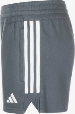 ADIDAS PERFORMANCE Shorts Regular Pantalon De Sport Tiro 23 League Femme Gris -ADIDAS PERFORMANCE Soldes 8867e0afe89d1c6141ac7fcec290e717