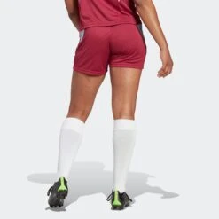 ADIDAS PERFORMANCE Shorts Loosefit Pantalon De Sport Spanien Tiro 23 Femme Bourgogne -ADIDAS PERFORMANCE Soldes 8ce9b3fca5482503495ea48941dc6ba1