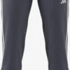 ADIDAS PERFORMANCE Pantalons De Sport Regular Pantalon De Sport Tiro 23 Femme Gris Basalte