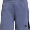 Adidas Sportswear Shorts Regular Pantalon De Sport Femme Violet Foncé