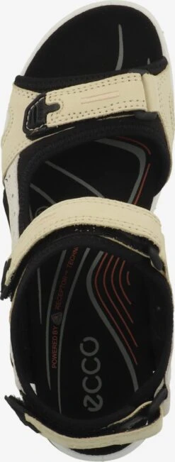 ECCO Chaussures De Plein Air Sandales De Randonnée Offroad Femme Crème -ADIDAS PERFORMANCE Soldes 9897d7417f4186b49ae8144217475380