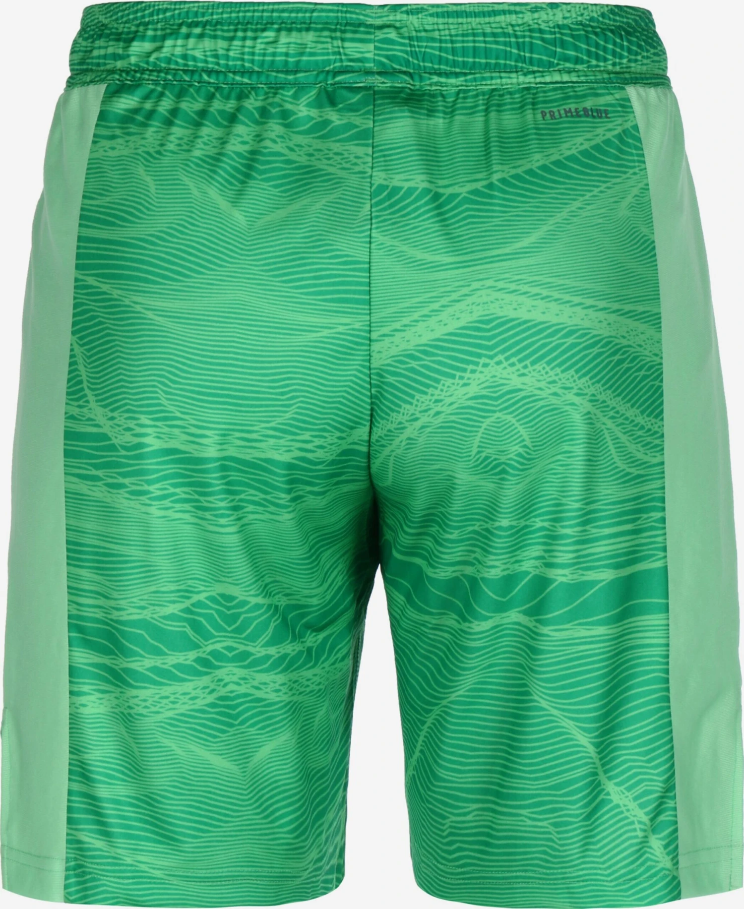 Adidas Sportswear Shorts Regular Pantalon De Sport Codivo 21 Femme Vert / Kiwi 2 Adidas Sportswear Shorts Regular Pantalon De Sport Codivo 21 Femme Vert / Kiwi – Image 2