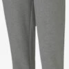 Puma Pantalons Dentraînement Effilé Pantalon De Sport Femme Gris