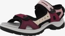 ECCO Chaussures De Plein Air Sandales De Randonnée Offroad Femme Rose / Rose Foncé