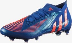 Adidas Sportswear Chaussures Dentraînement Chaussure De Foot Femme Bleu