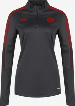 Adidas Sportswear Pulls De Sport Sweat De Sport FC Bayern München Femme Anthracite