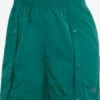 Adidas Sportswear Shorts Regular Pantalon De Sport Tiro Femme Vert