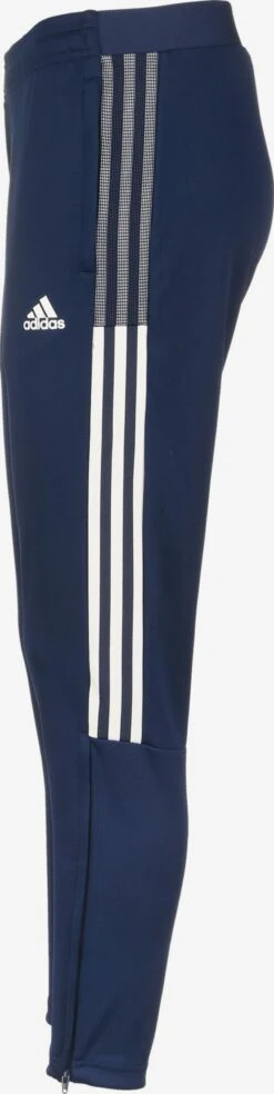 Adidas Sportswear Pantalons Dentraînement Effilé Pantalon De Sport Tiro 21 Femme Bleu Marine -ADIDAS PERFORMANCE Soldes e6fe9c5f13bc02282d5e4628784d6b3a