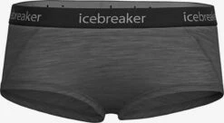 Icebreaker Sous-vêtements Fonctionnels Sous-vêtements De Sport Sprite Femme Gris Foncé