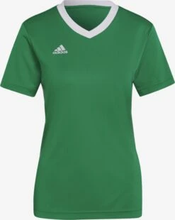 Adidas Sportswear Hauts Pratiques Fonctionnels Maillot Entrada 22 Femme Vert