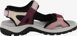 ECCO Chaussures De Plein Air Sandales De Randonnée Offroad Femme Rose / Rose Foncé -ADIDAS PERFORMANCE Soldes fe2a2d01268c2e44954a2309039521e7
