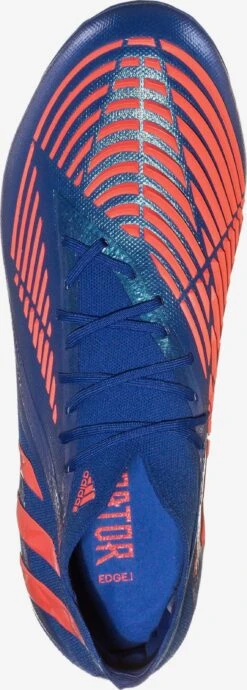 Adidas Sportswear Chaussures Dentraînement Chaussure De Foot Femme Bleu -ADIDAS PERFORMANCE Soldes ffeb583bd0751f3d03de3be3a843a54d